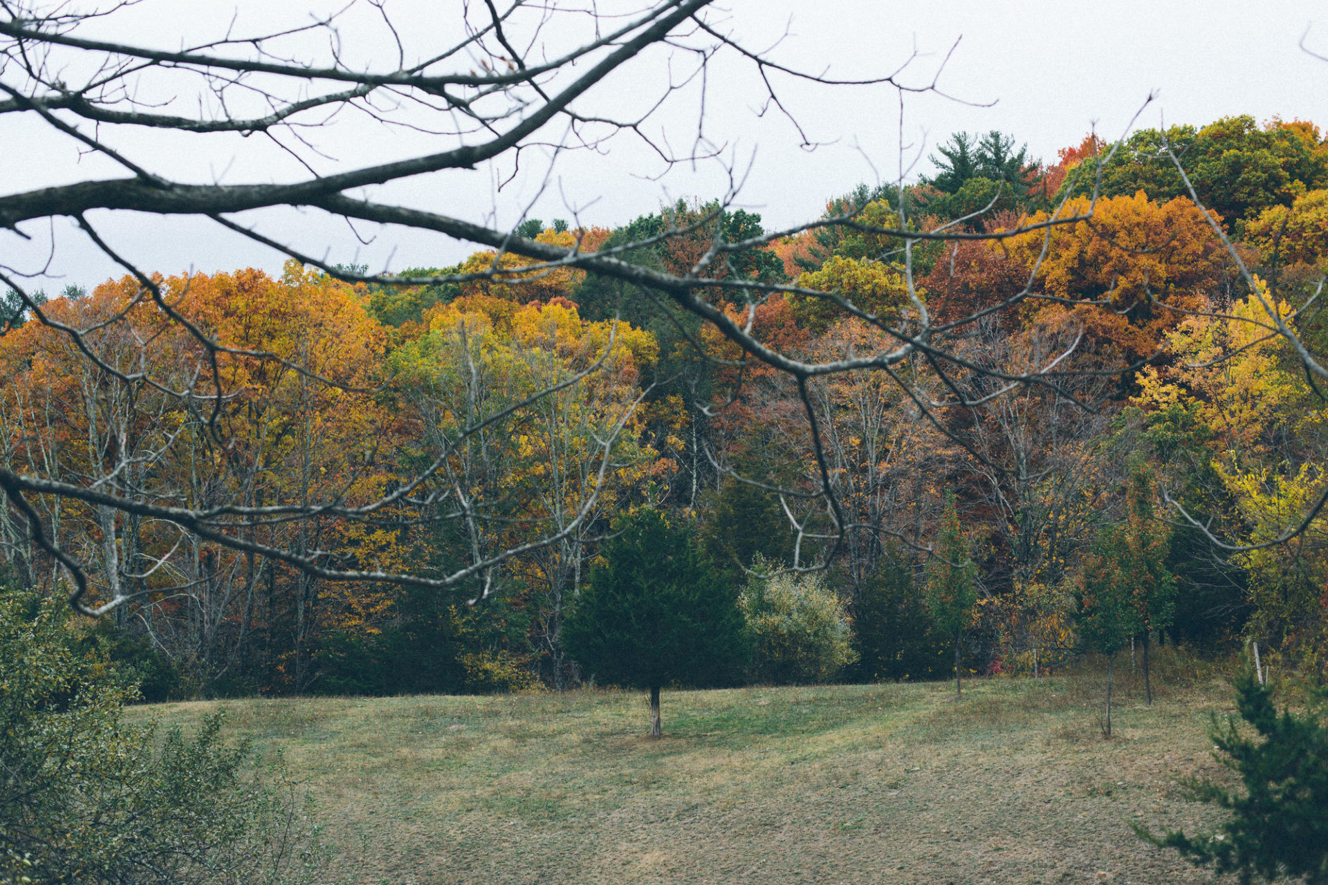 The Garnered - Deborah Ehrlich Studio The Garnered 61