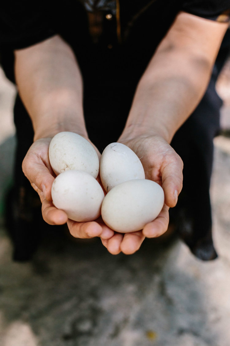The Garnered - Rebecca Peacock Process03