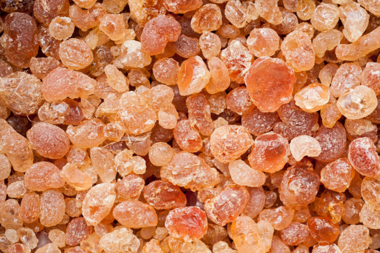 The Garnered - Mad Et Len Studio The Garnered 140