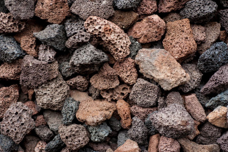 The Garnered - Mad Et Len Studio The Garnered 141