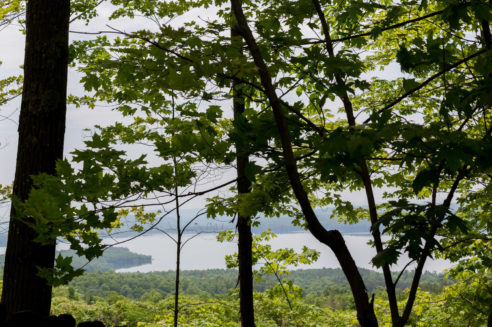 The Garnered - Catskills Studio The Garnered 113 Crop