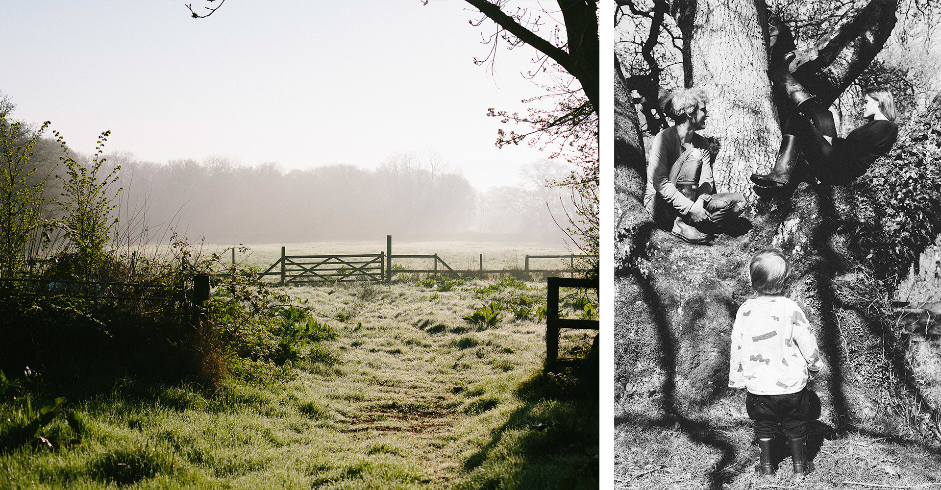 The Garnered - Feldspar Studio The Garnered Blog Split 2