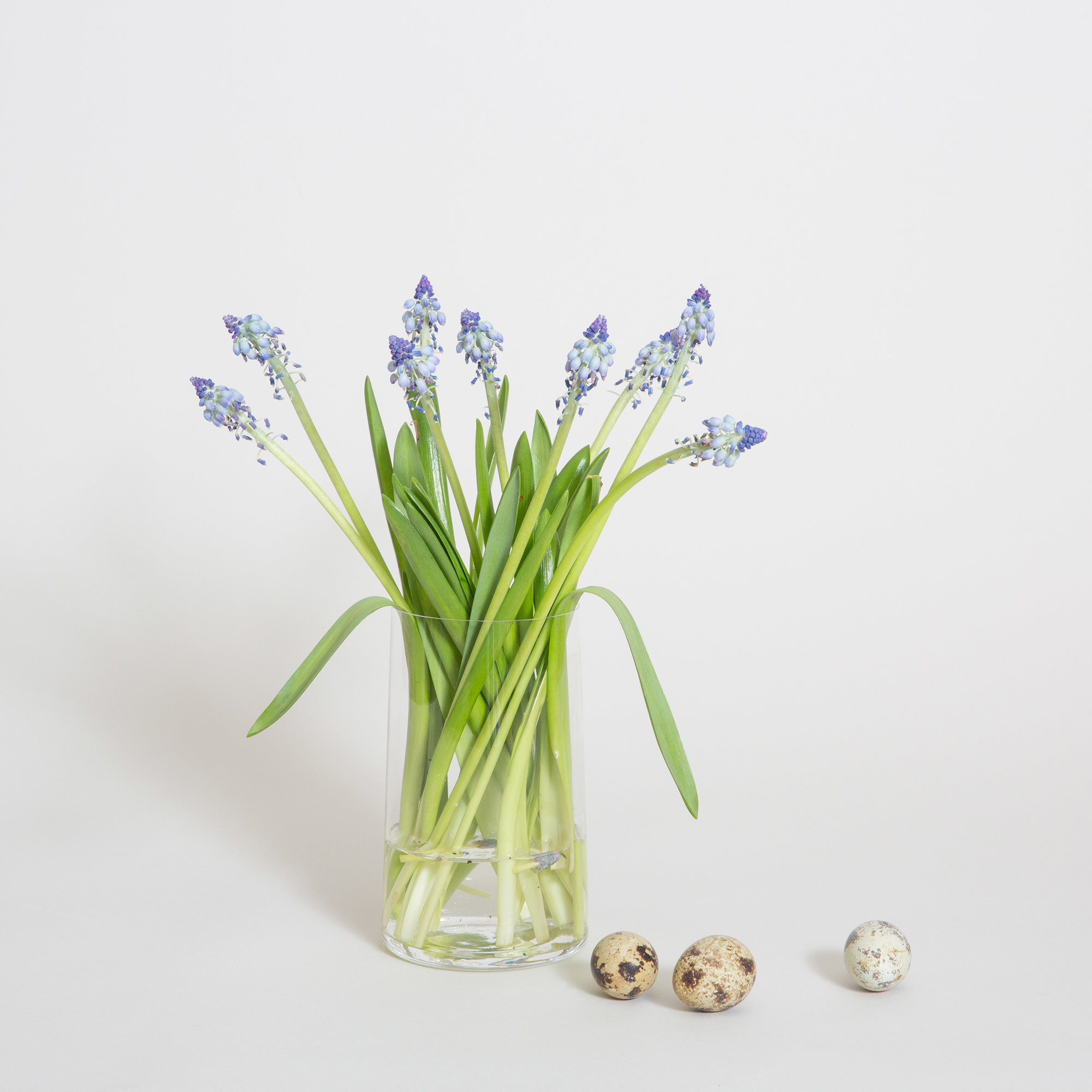 Simple Swedish Crystal Canister Forget-Me-Not Vase - Canister Forget Me Not Vase Deborah Ehrlich Glassware The Garnered Styled
