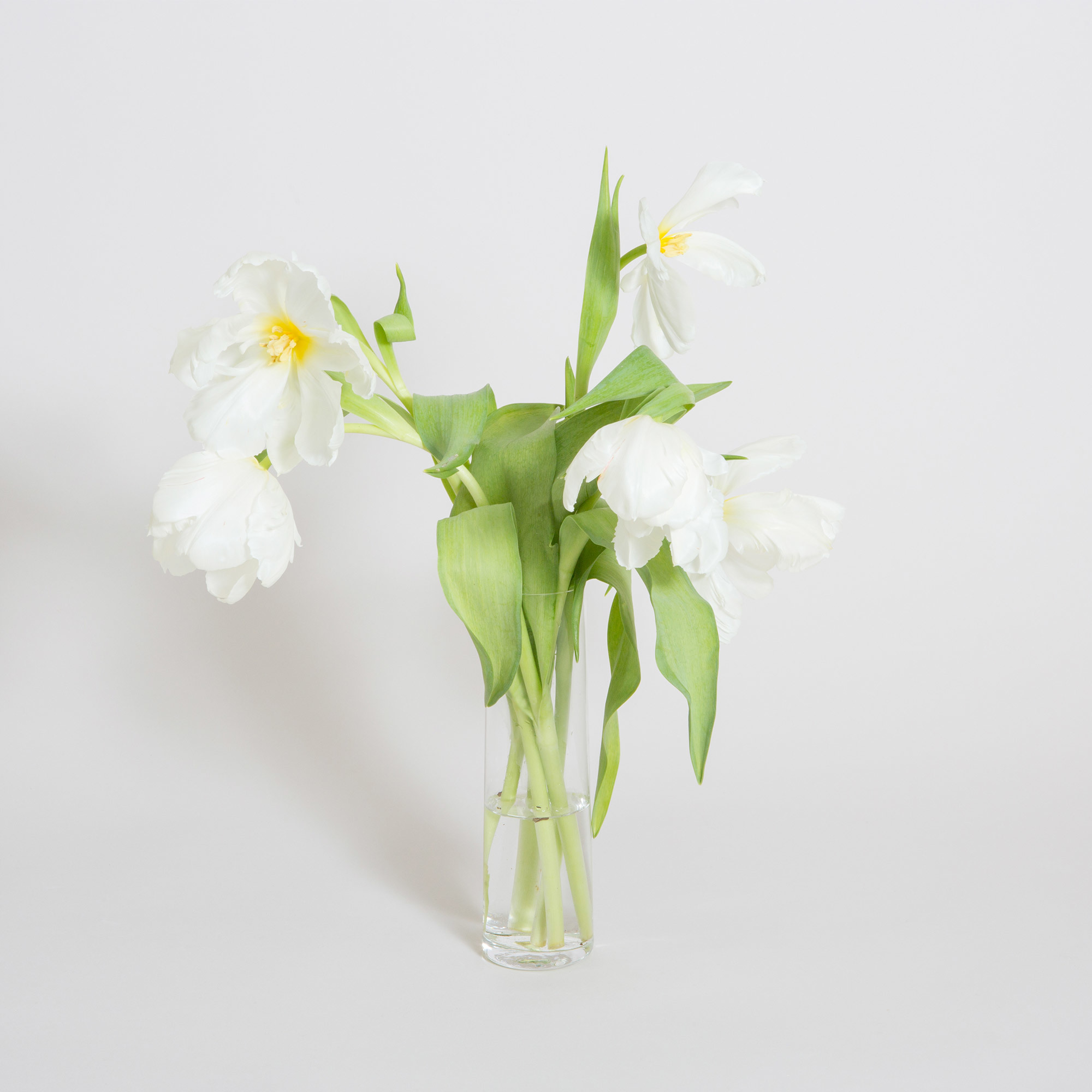 Simple Swedish Crystal Thin Cylinder Vase - Thin Cylinder Cosmos Bud Vase Deborah Ehrlich Glassware The Garnered Styled