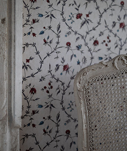 The Garnered - The Garnered Antoinette Poisson Ruth Ribeaucourt Wallpaper Jardin Doeillets Thumbnail