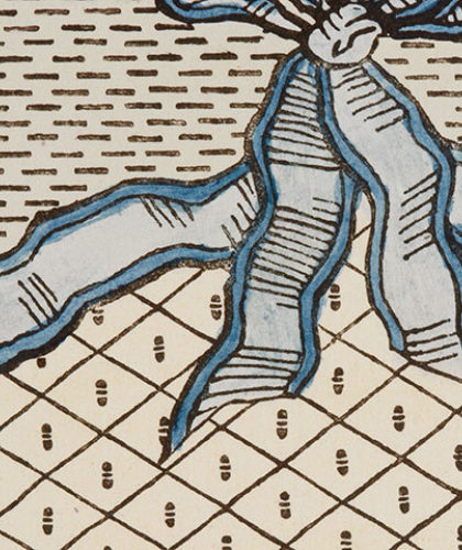 The Garnered - Antoinette Poisson Wallpaper Rubans Et Oiseaux The Garnered Thumbnail