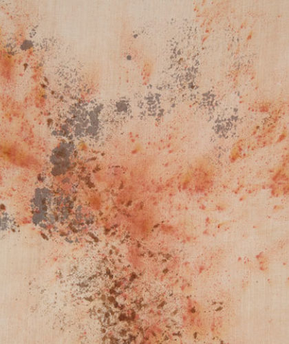 The Garnered - Ellen Mae Williams Hand Dyed Linen Russet Storm The Garnered Detail 1 Thumbnail