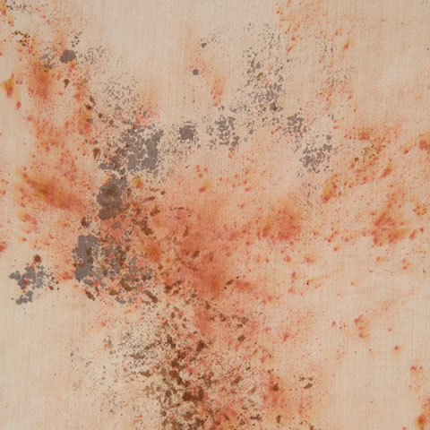 The Garnered - Ellen Mae Williams Hand Dyed Linen Russet Storm The Garnered Detail 1 Thumbnail
